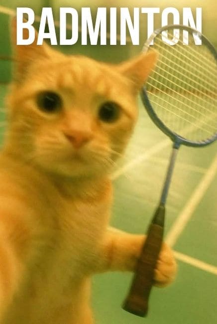 Badminton Movie Poster