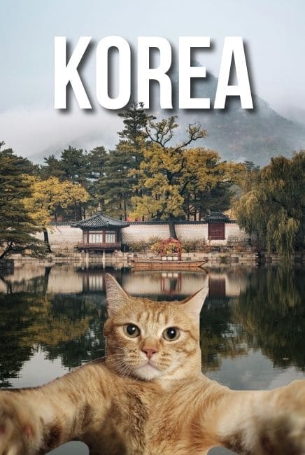 Korea Movie Poster