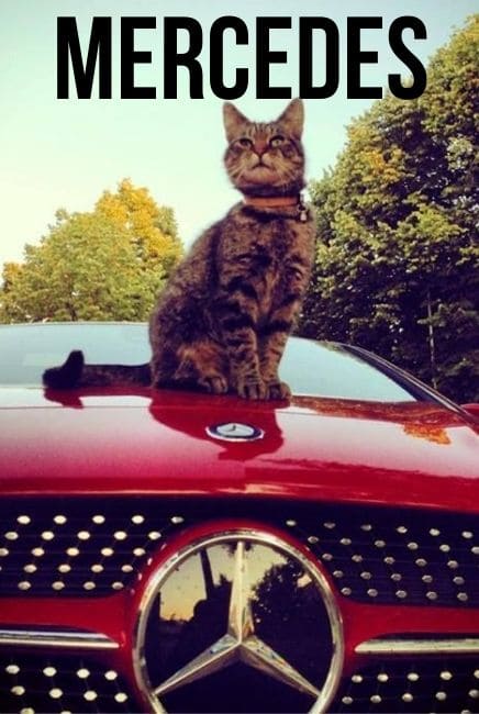 Mercedes Movie Poster