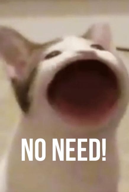 Nah too cheap Movie Poster