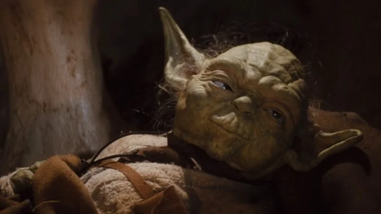 "Always pass on what you have learned." - Yoda | Best Yoda Quotes | TGV Blog