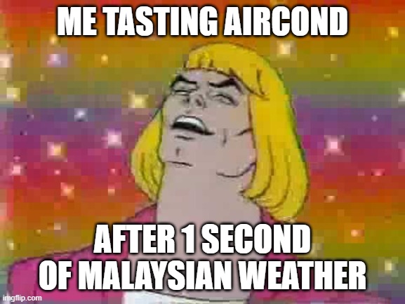 He Man Meme 1 | He-Man Memes | TGV Blog