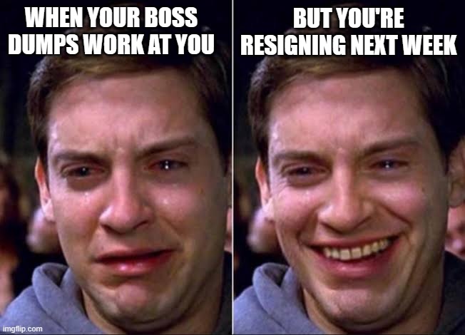 Honeymoon Period After Job Resignation | Best Spiderman Memes (Malaysian Edition) | TGV Blog