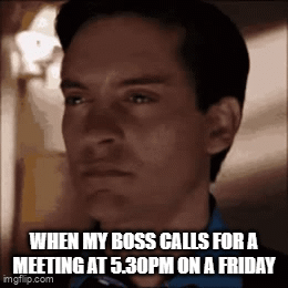 Last Minute Friday Meetings | Best Spiderman Memes (Malaysian Edition) | TGV Blog