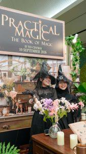 (LADIES WEEKEND) Practical Magic: Book of Magic  - Experience Image 4