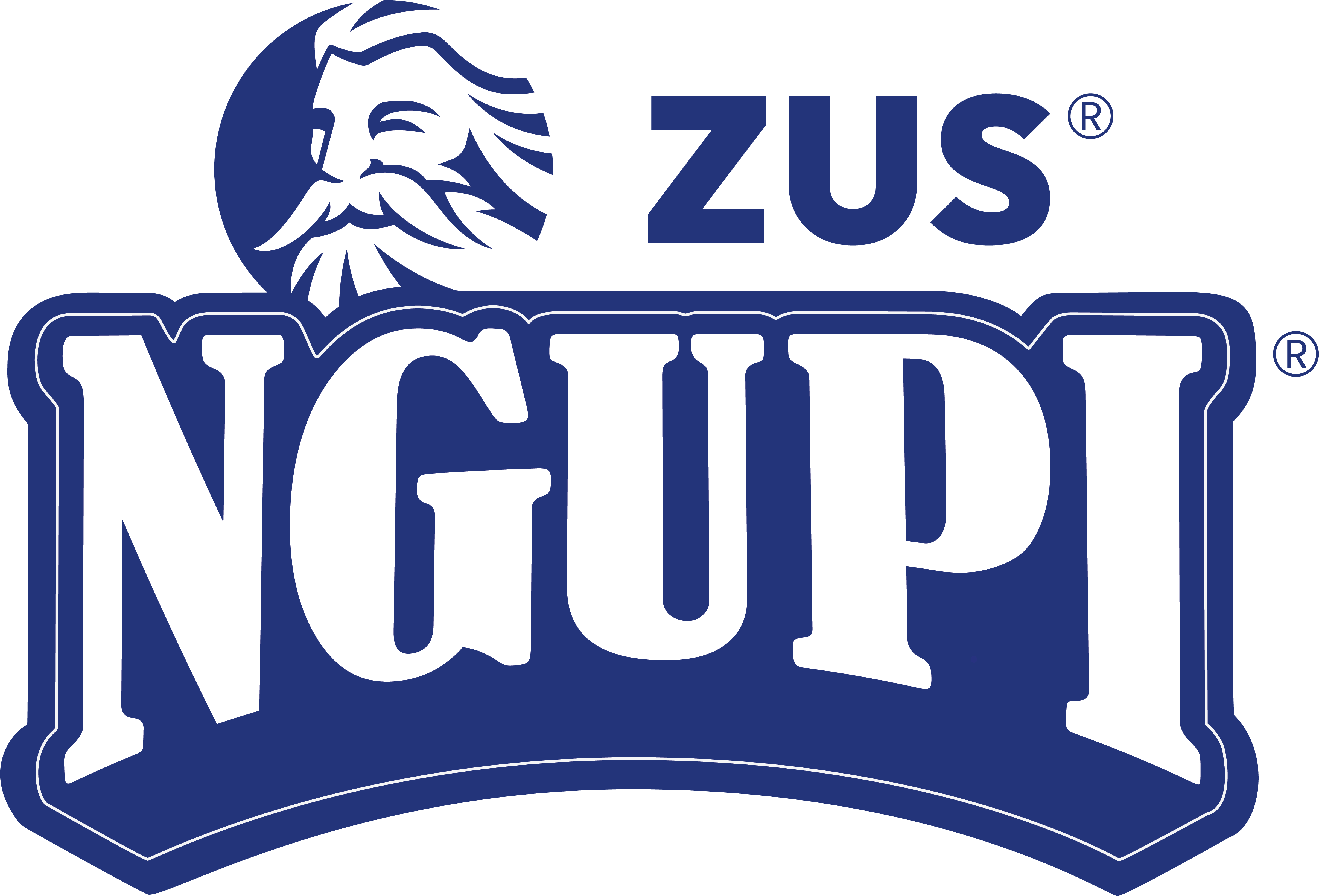ZUS NGUPI | TGV Partner