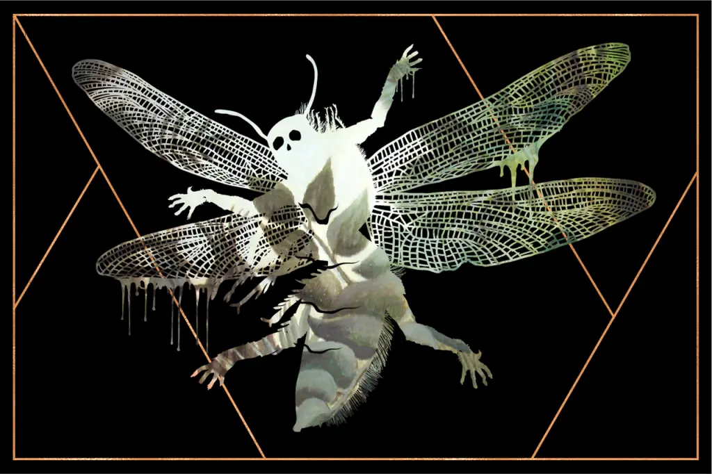 Adze (Africas) | Blood Monsters in Folklore and Mythology | TGV Blog